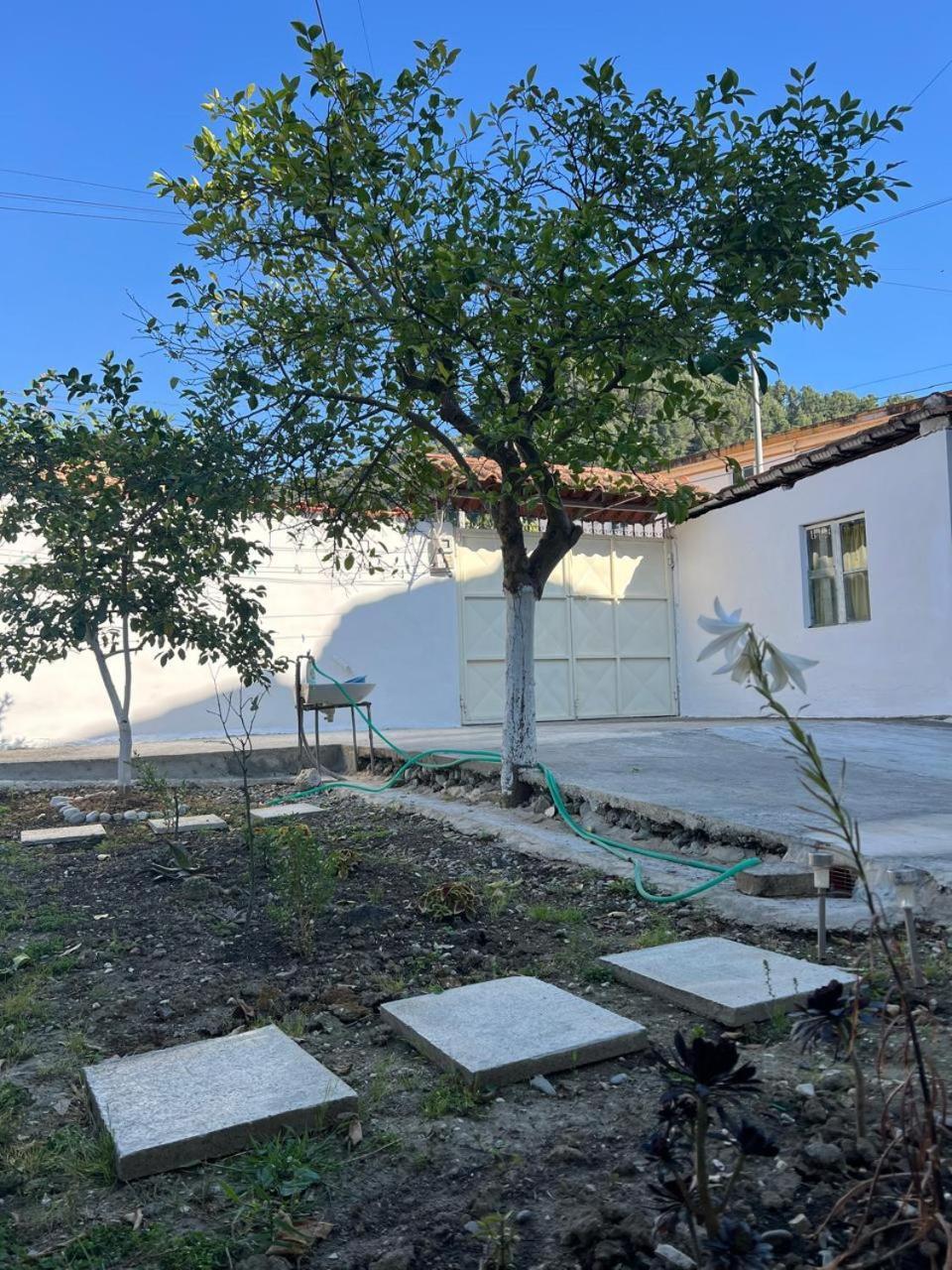 Berat Private Room In Haxhialiu Villa Dış mekan fotoğraf